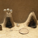 14.Chullas, Chak 110 DB,Yazman,06-07-09